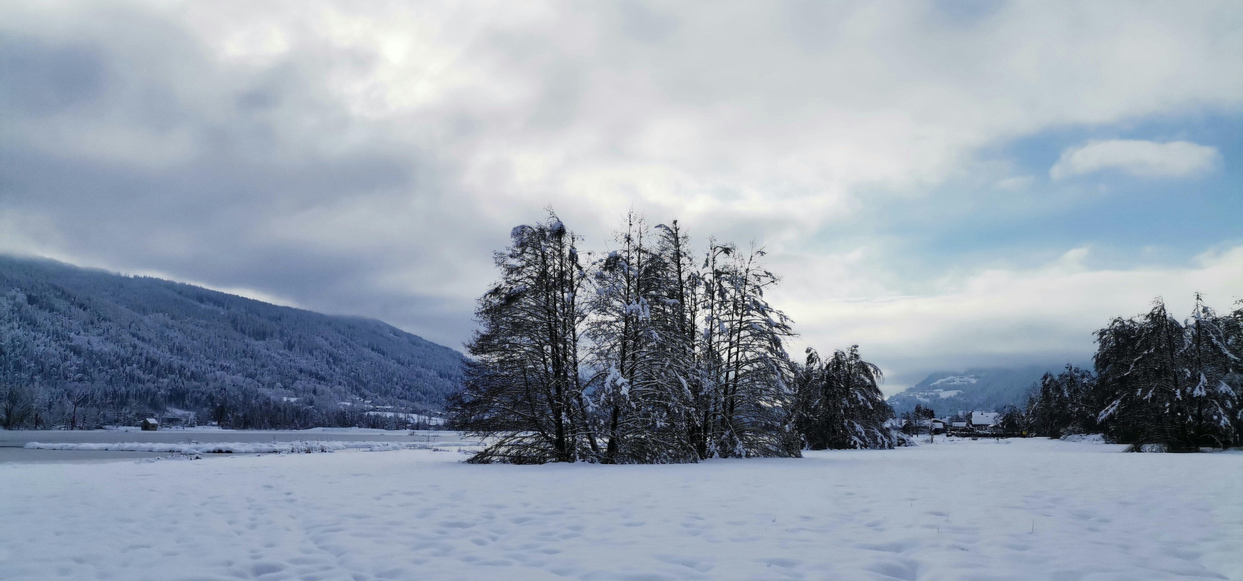 a snow covered field with trees and mountains in the background
