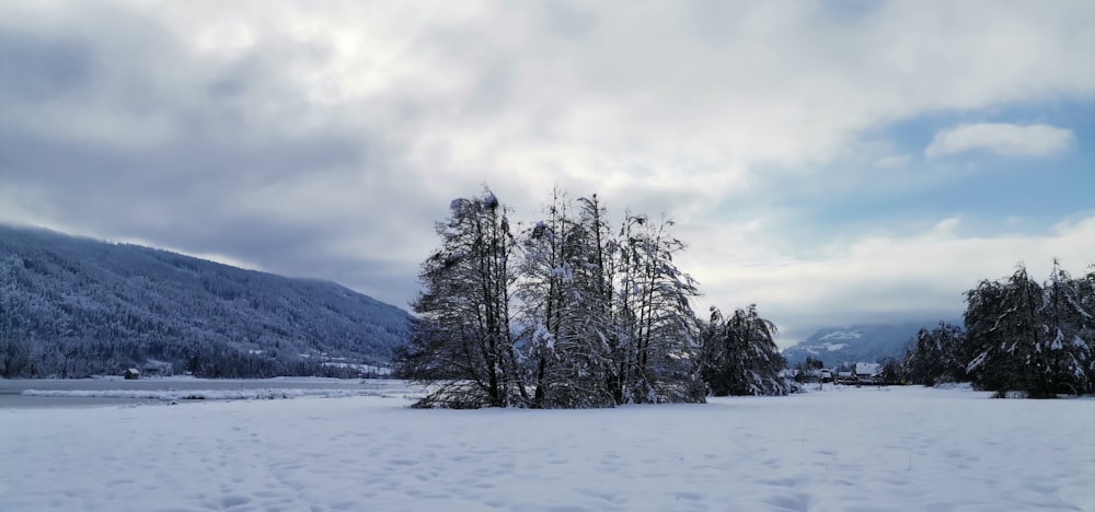 a snow covered field with trees and mountains in the background