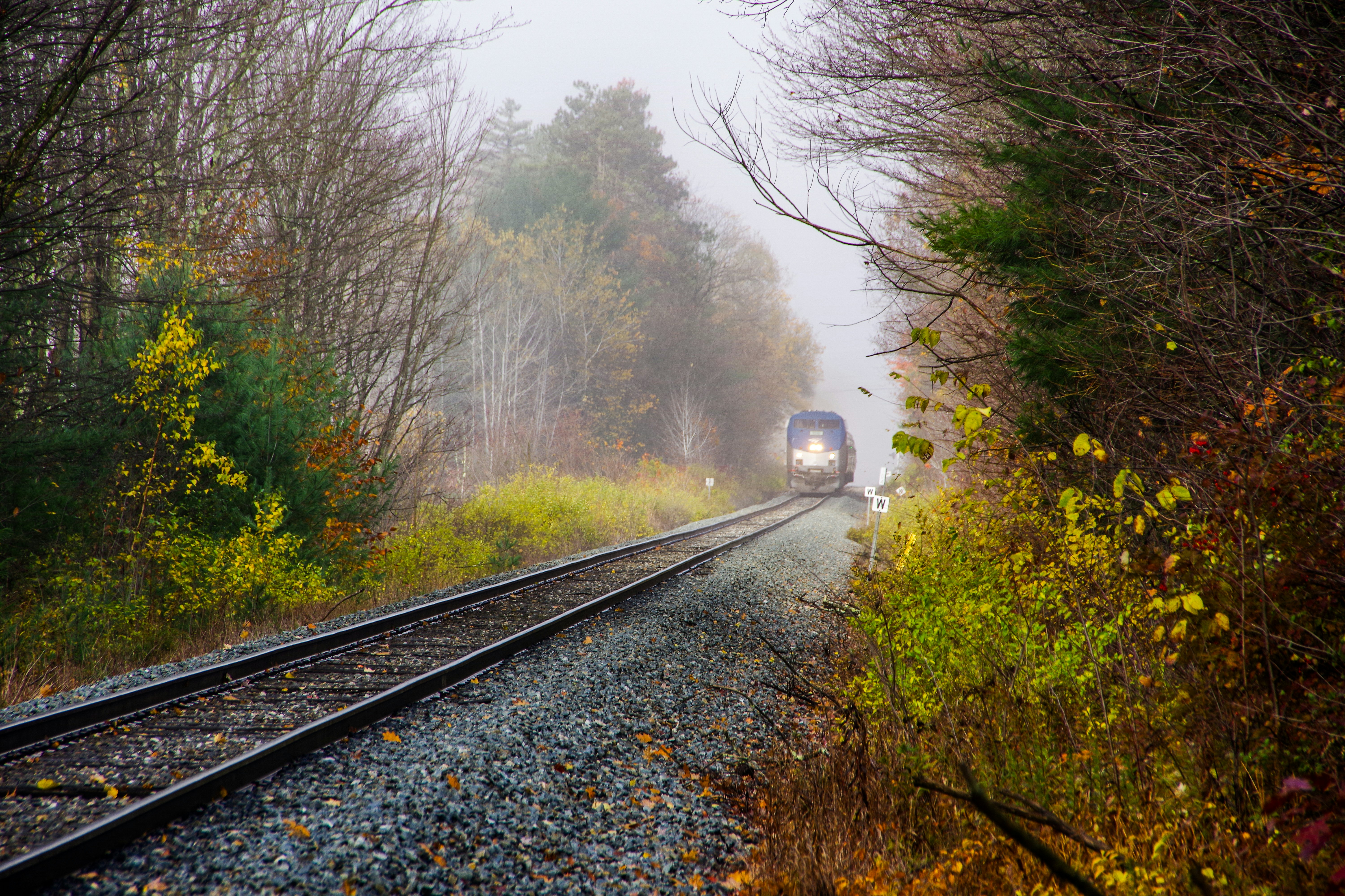 The Amtrak Vermonter rolls through Williston, Vermont. 