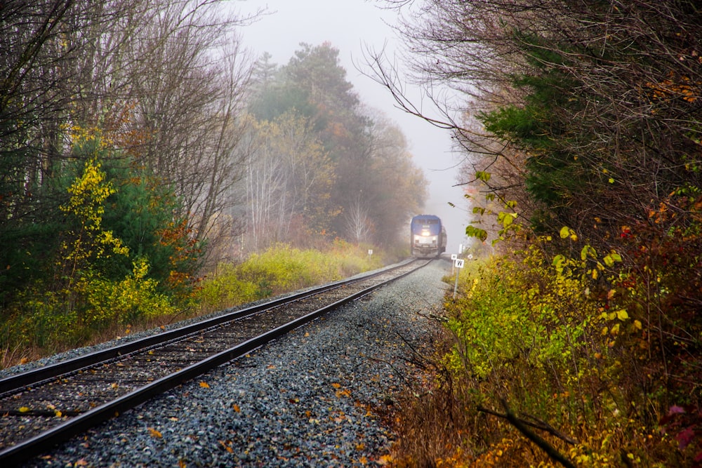 a train traveling down train tracks through a forest