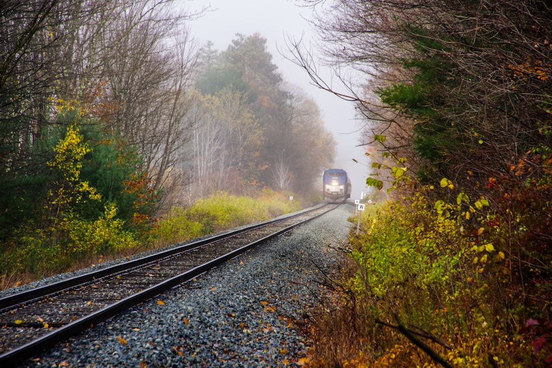Fast Tracks and Scenic Rides! US Rail Travel Receives a €15 Billion… — Fast Tracks and Scenic Rides! US