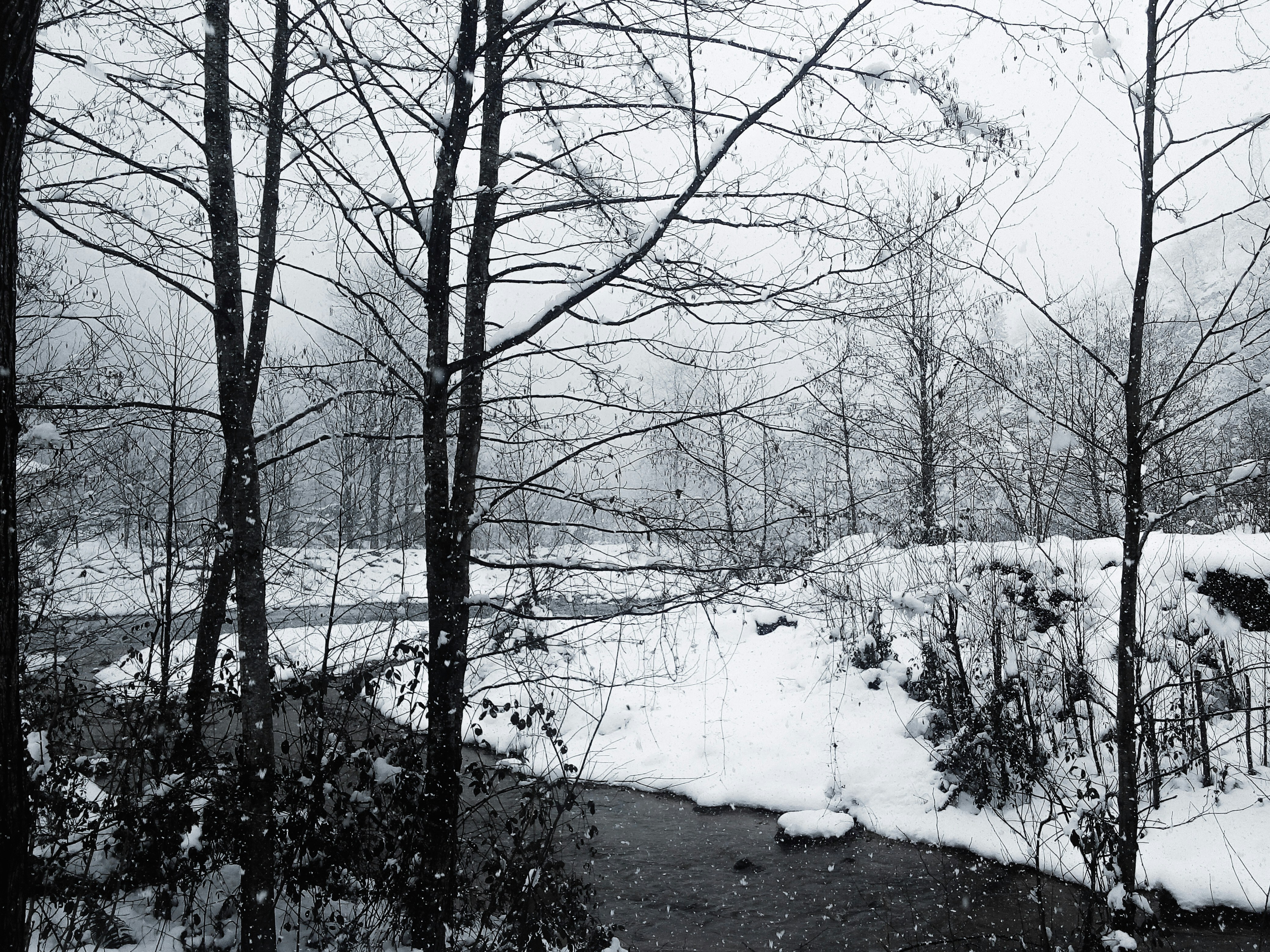 Photo by bestekablan