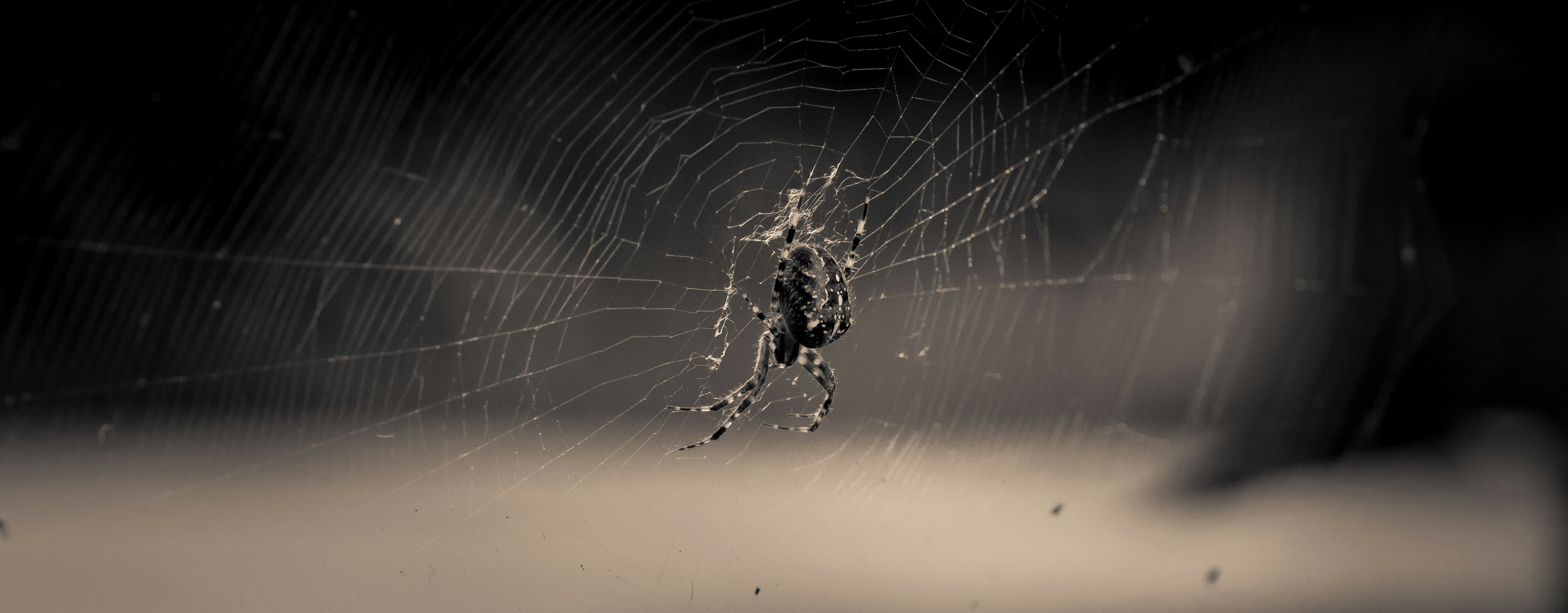 Photo by lovelyscape