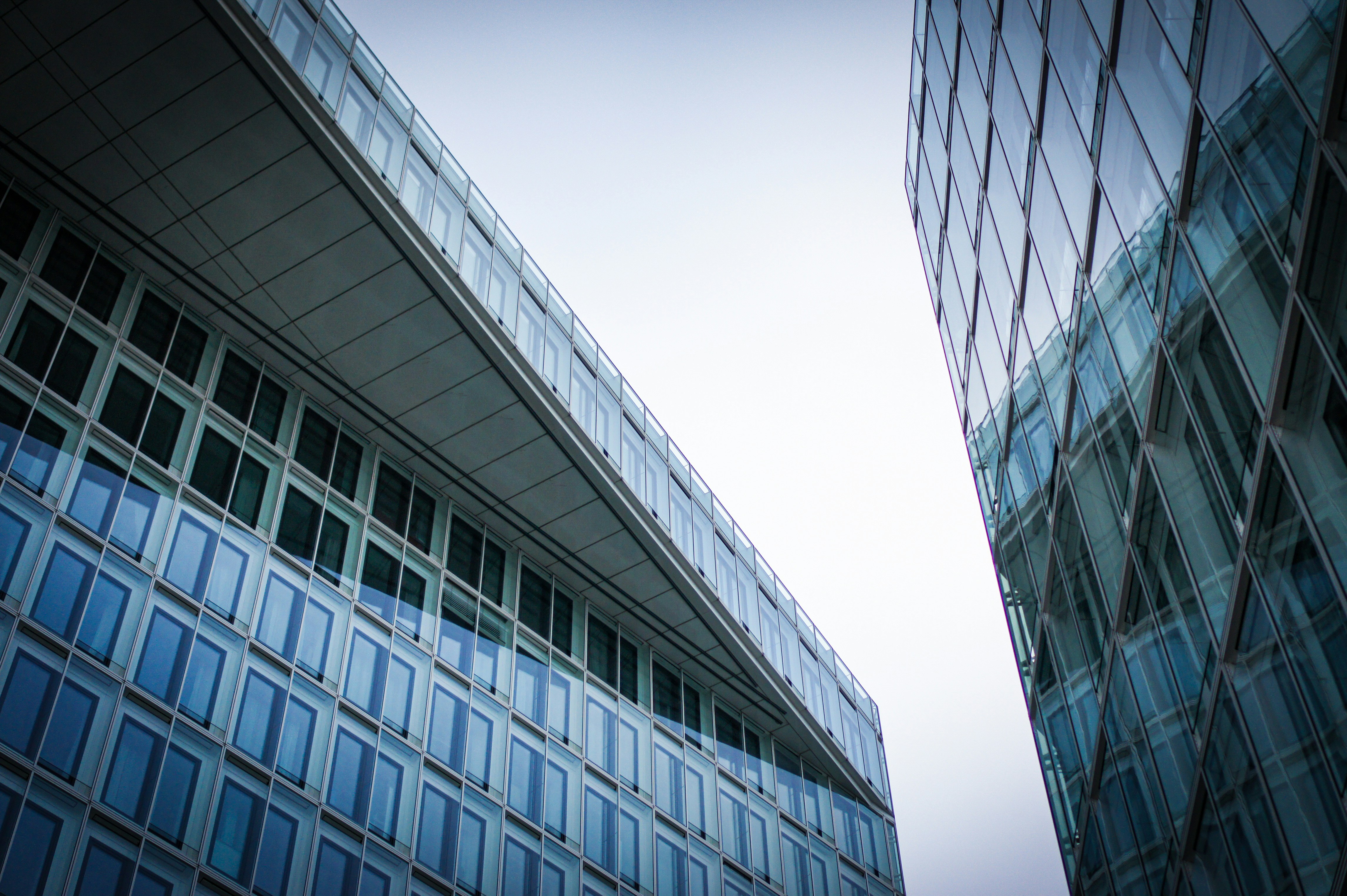 Photo by pedropiteiramonteiro