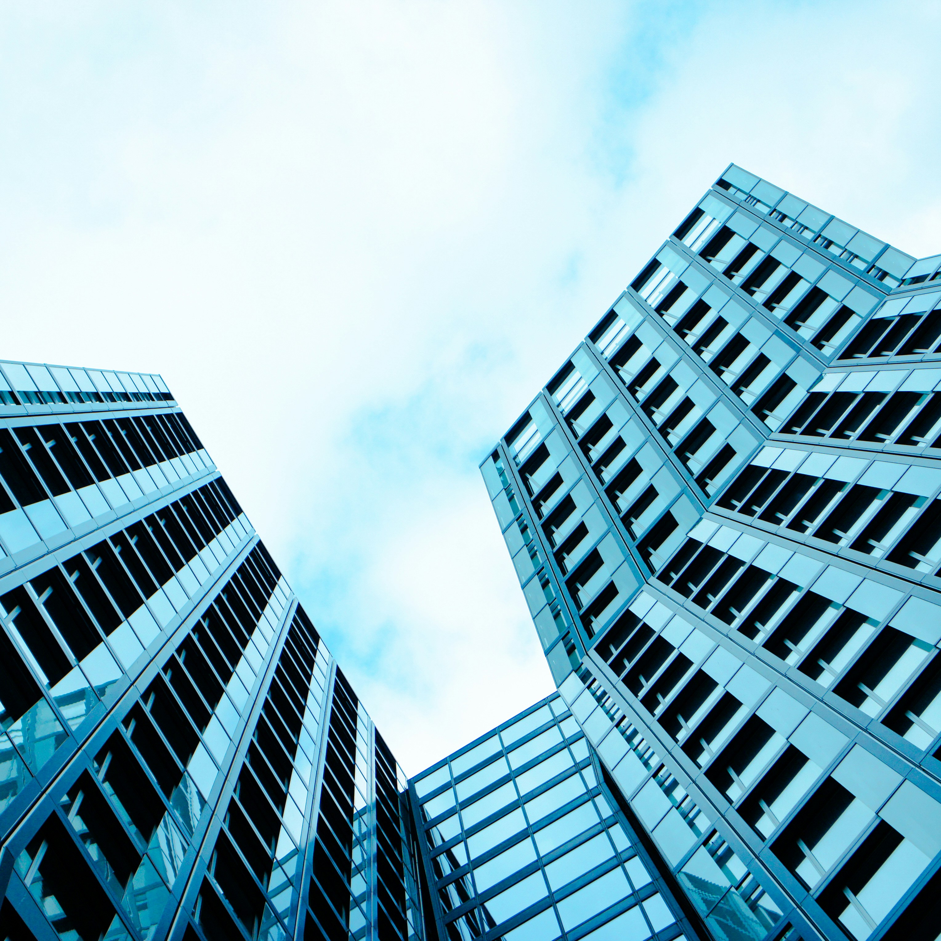 Photo by pedropiteiramonteiro