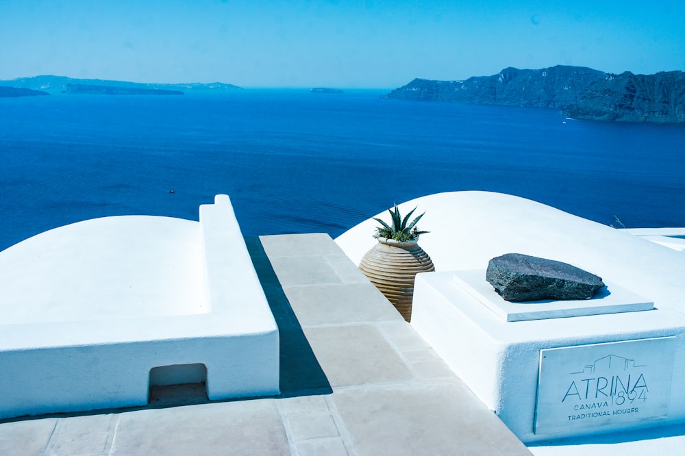 a potted plant sitting on top of a white building