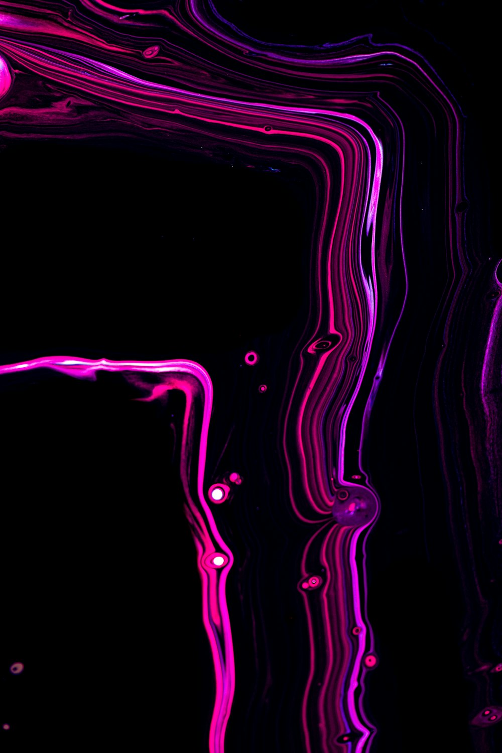 a black background with pink and purple lines