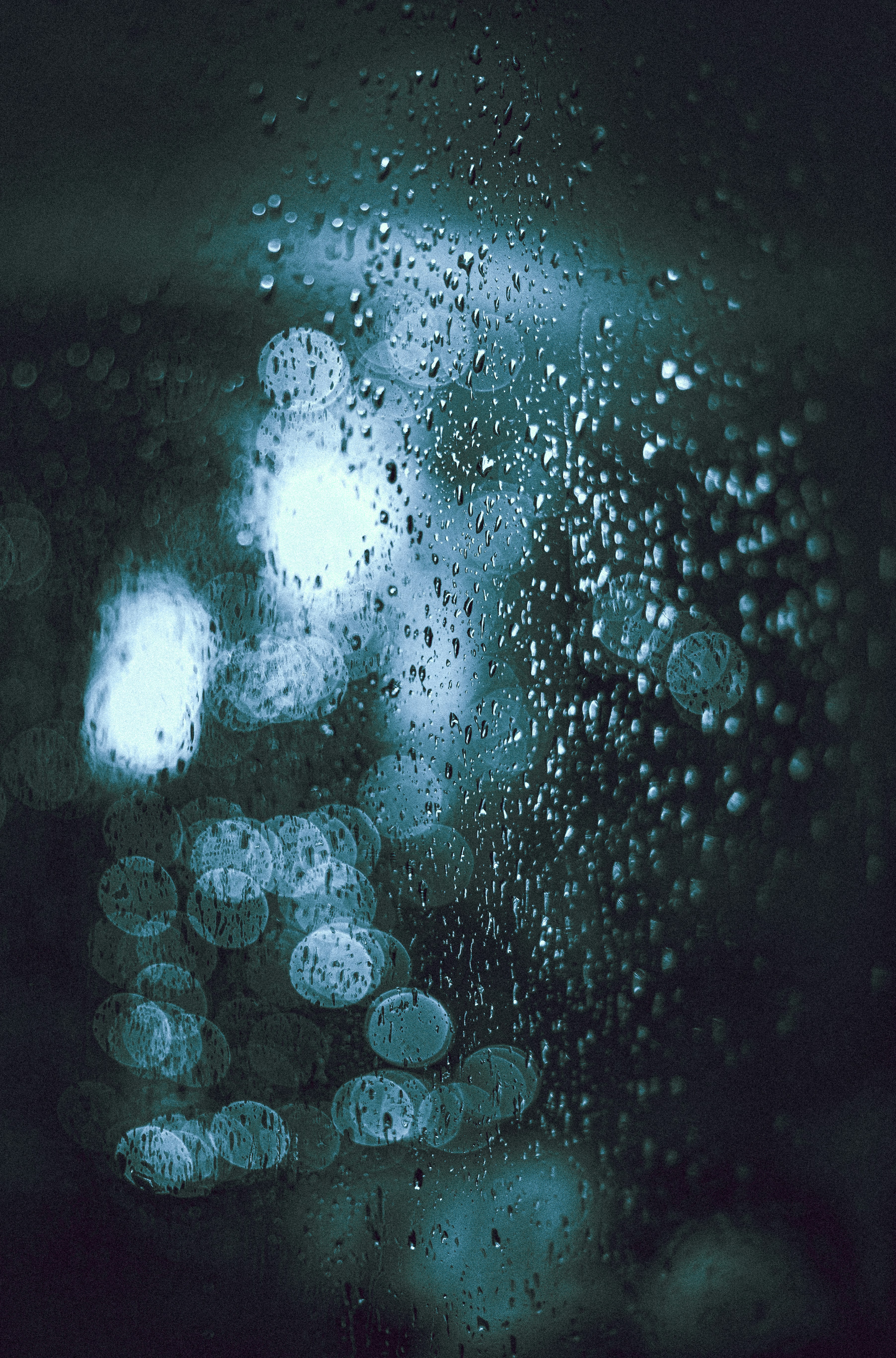 Photo by arizonanthony