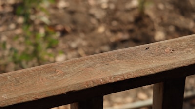 A close-up view of a wooden railing with visible wood grain and a small insect resting on the surface. The background is out of focus, showing hints of green foliage and earthy tones.