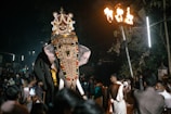 Decorated elephants parading through the streets during a local Odia festival.