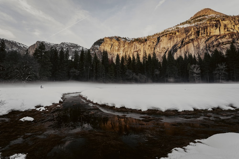 a river running through a snow covered forest