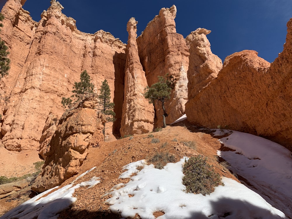 a snow covered rock formation with a tree in the foreground