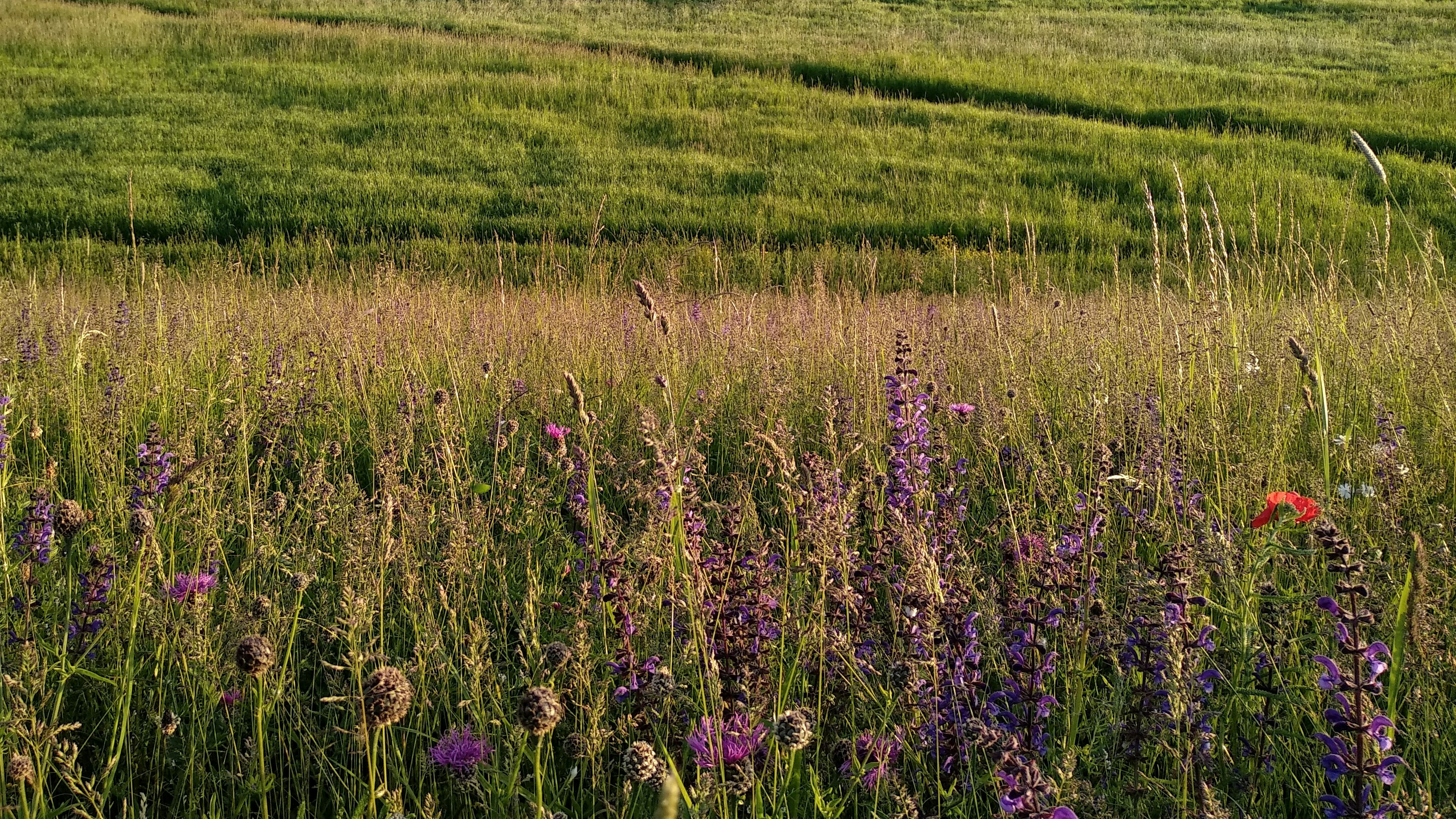 Photo by daniel_gimbel