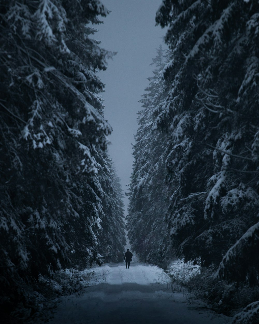 a person walking down a snow covered road