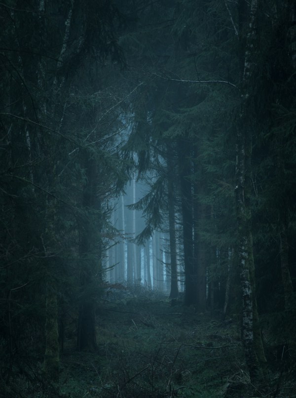 Shadow Realms Art Print (A3)
