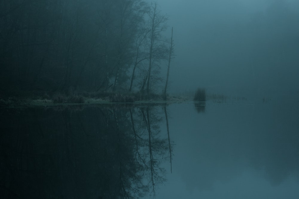 a body of water surrounded by trees and fog