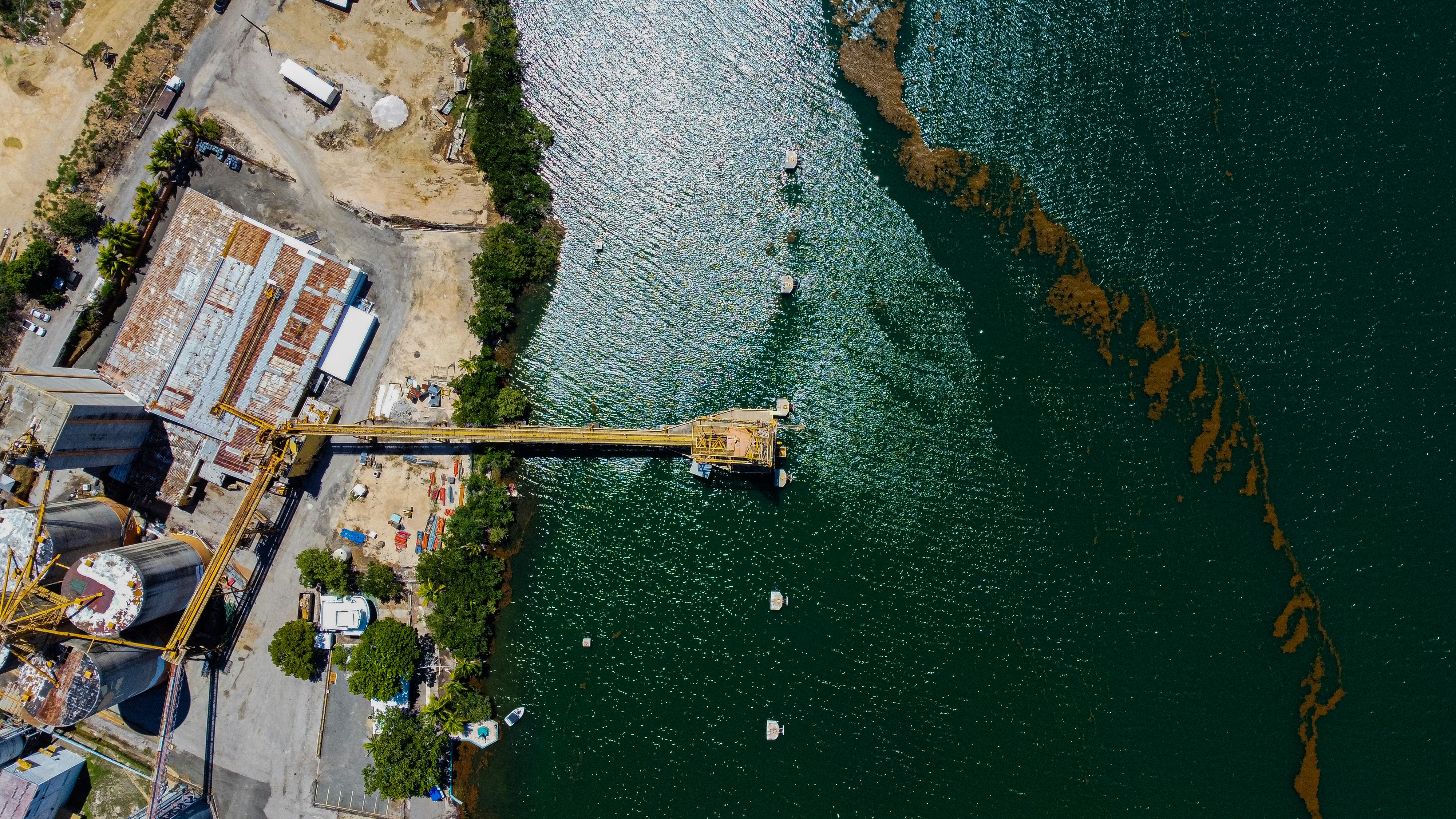 Photo by blackbirdsk