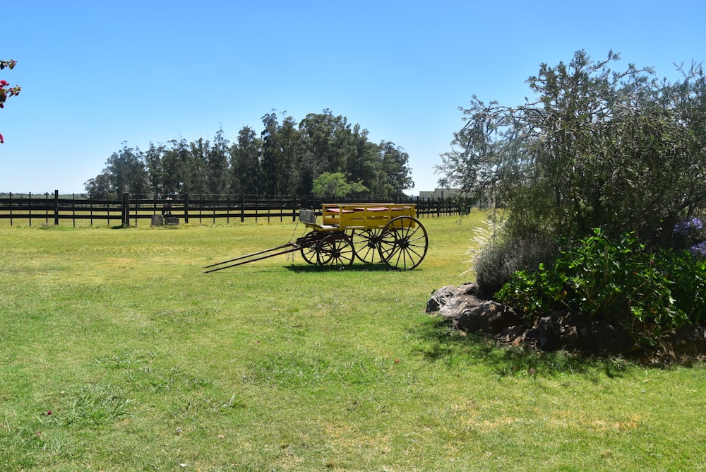 a horse drawn carriage sitting in the middle of a field