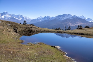 a small lake in the middle of a grassy field