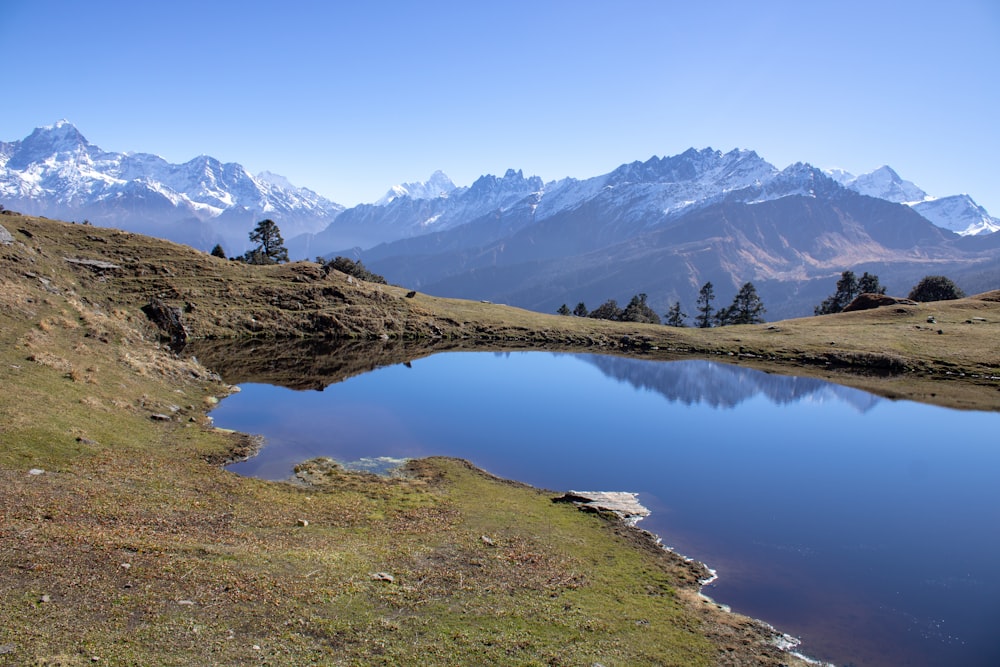 a small lake in the middle of a grassy field