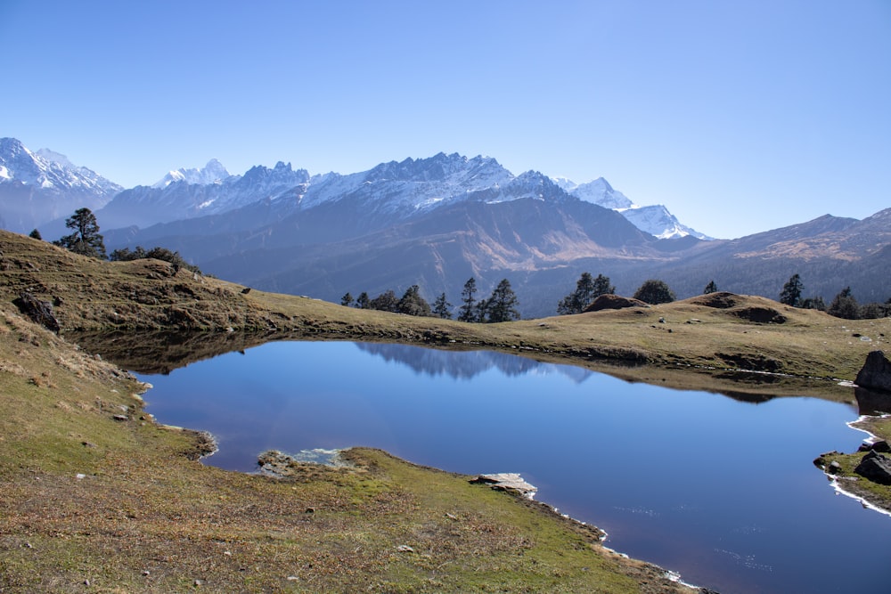 a small lake in the middle of a grassy field