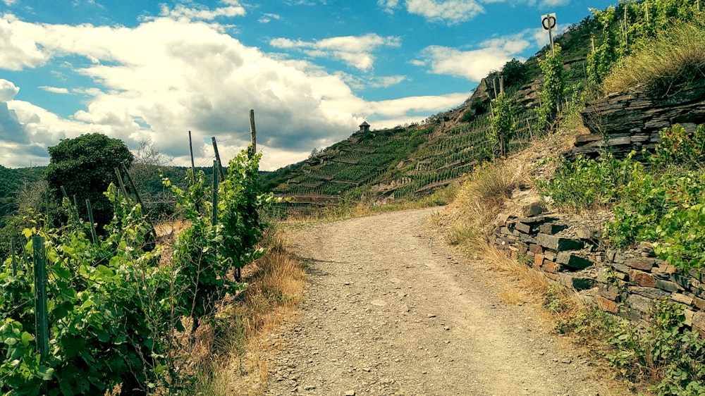 a dirt road surrounded by a lush green hillside