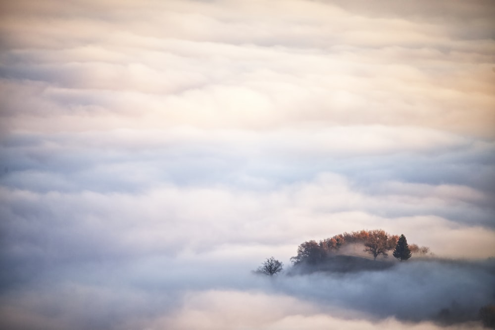 a small island in the middle of a sea of clouds