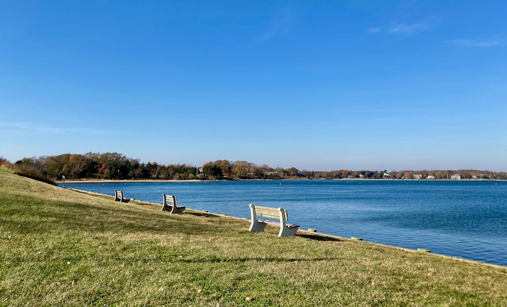 a row of benches sitting on the side of a lake