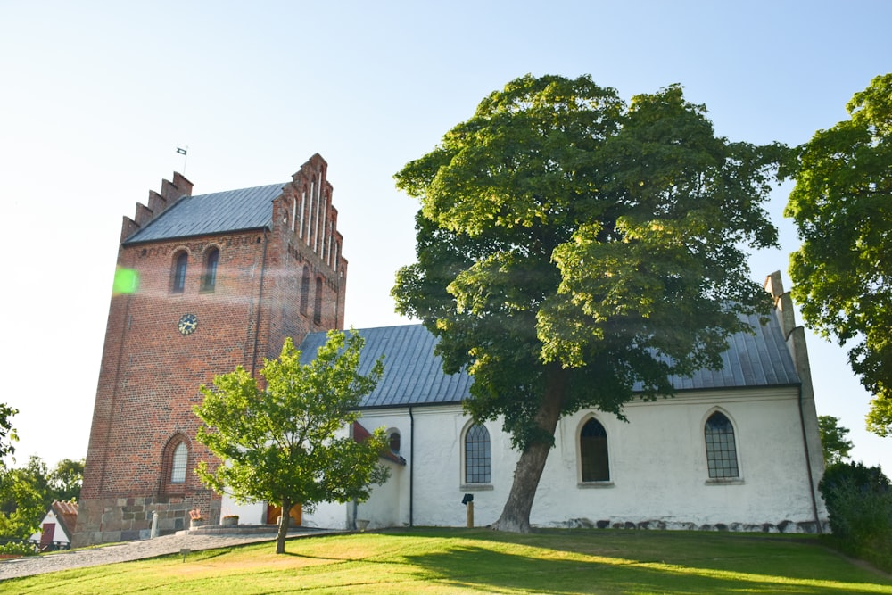 una chiesa con un grande albero di fronte