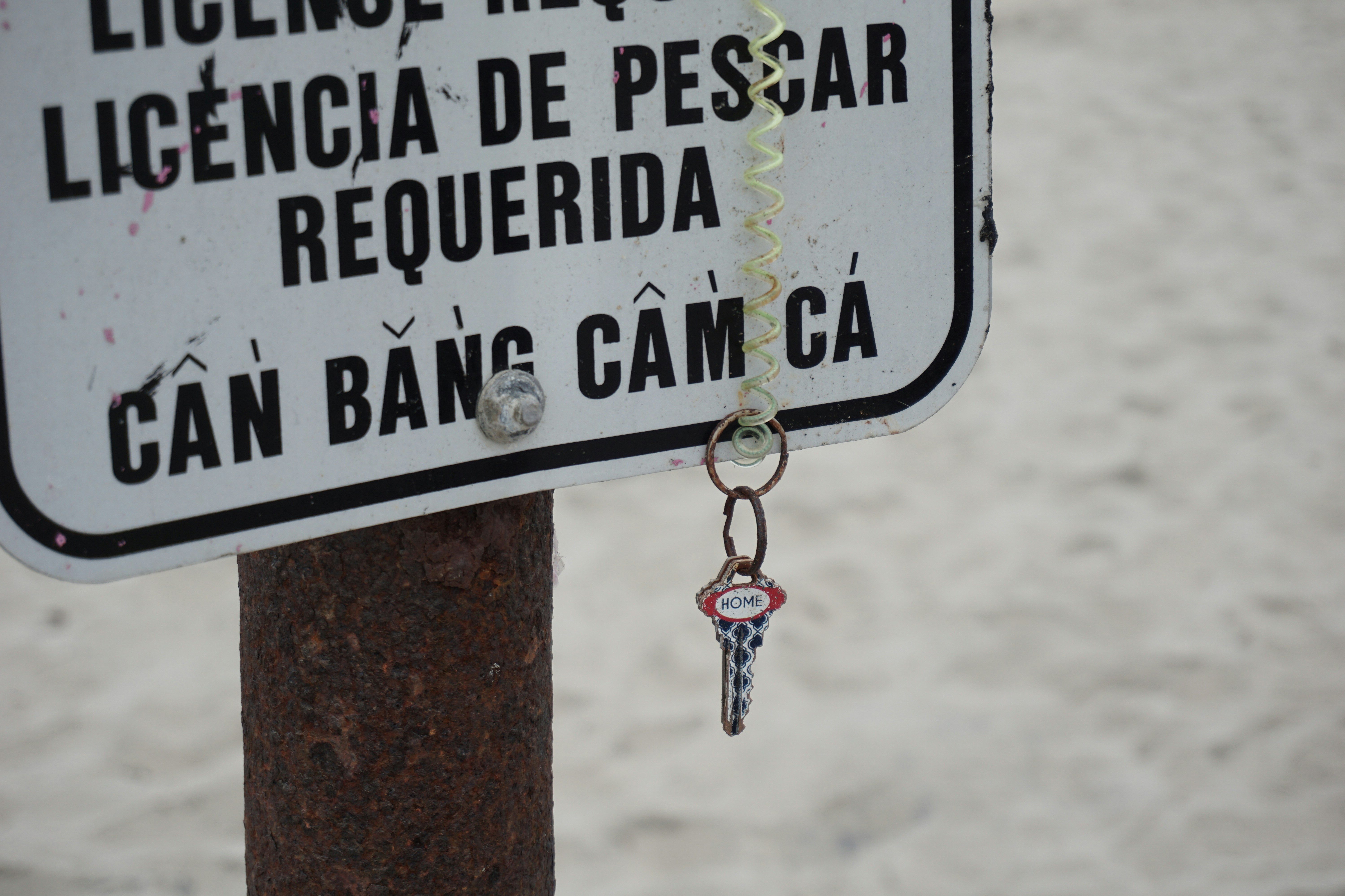 Praça da Lagoa