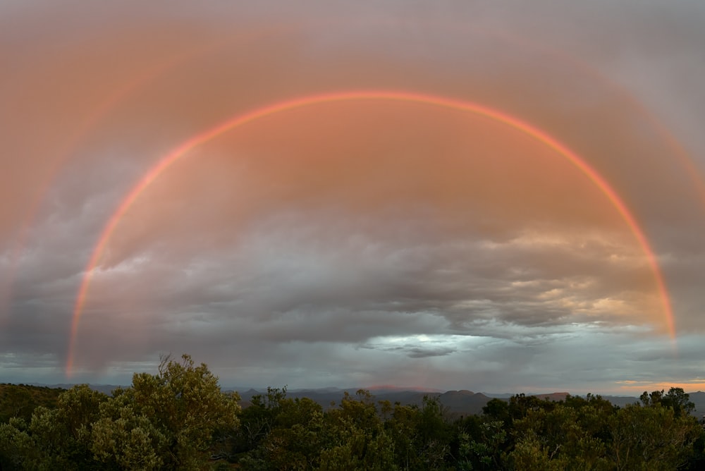 two rainbows in a cloudy sky with trees in the foreground