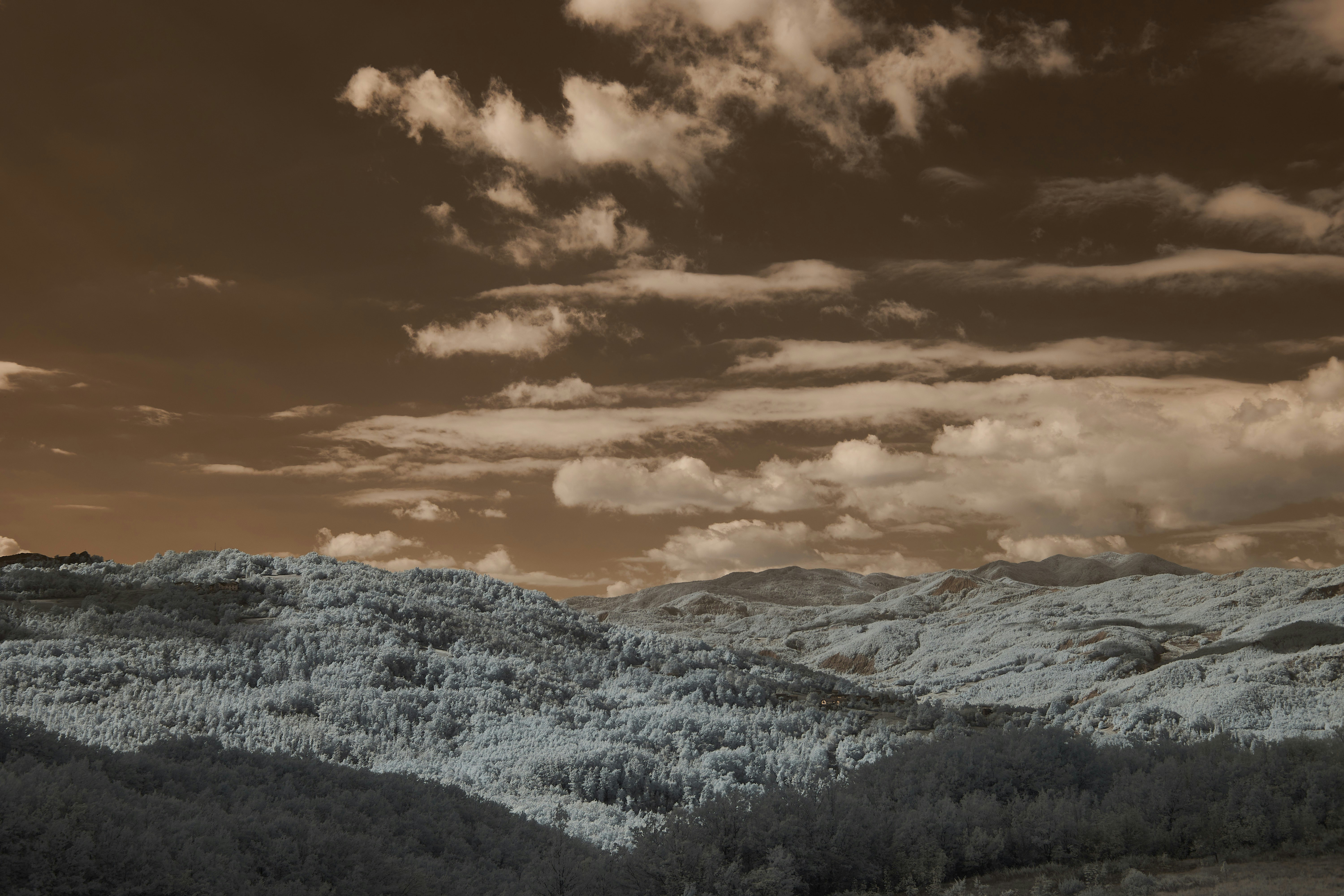 Photo by wolfgang_hasselmann