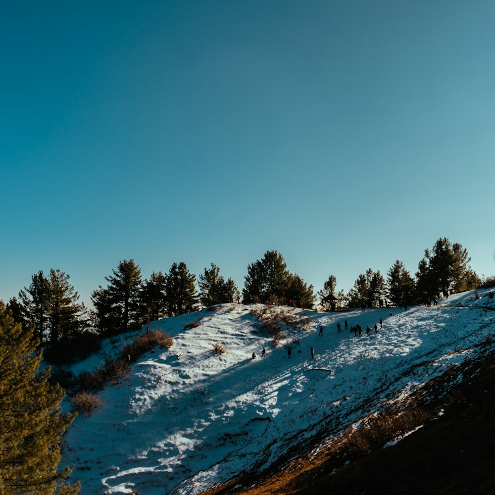 a person riding a snowboard down a snow covered slope