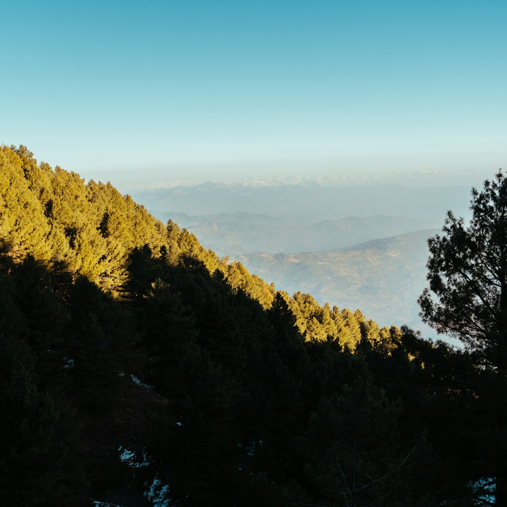 a view of the mountains from the top of a hill