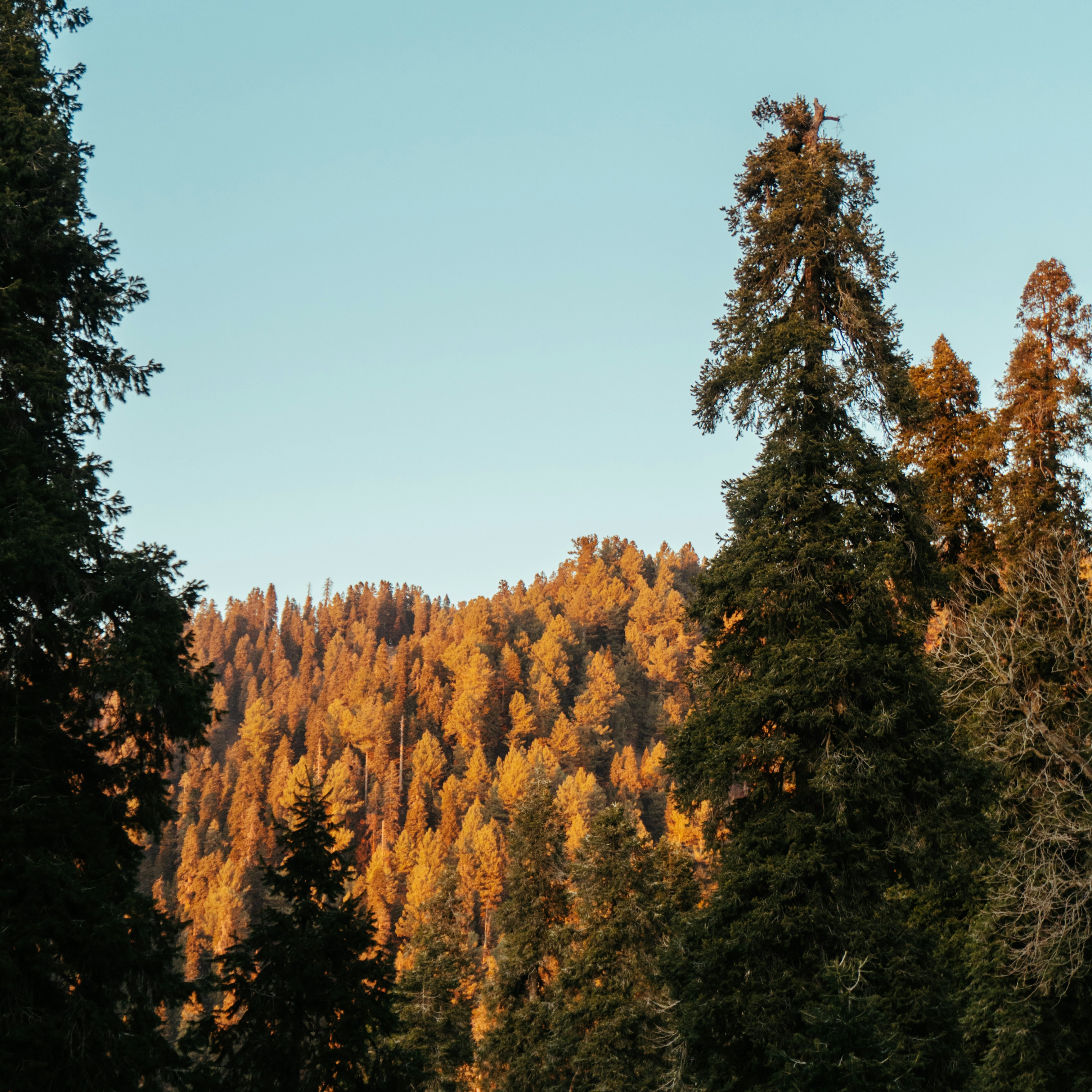 Photo by _abu_hurairah