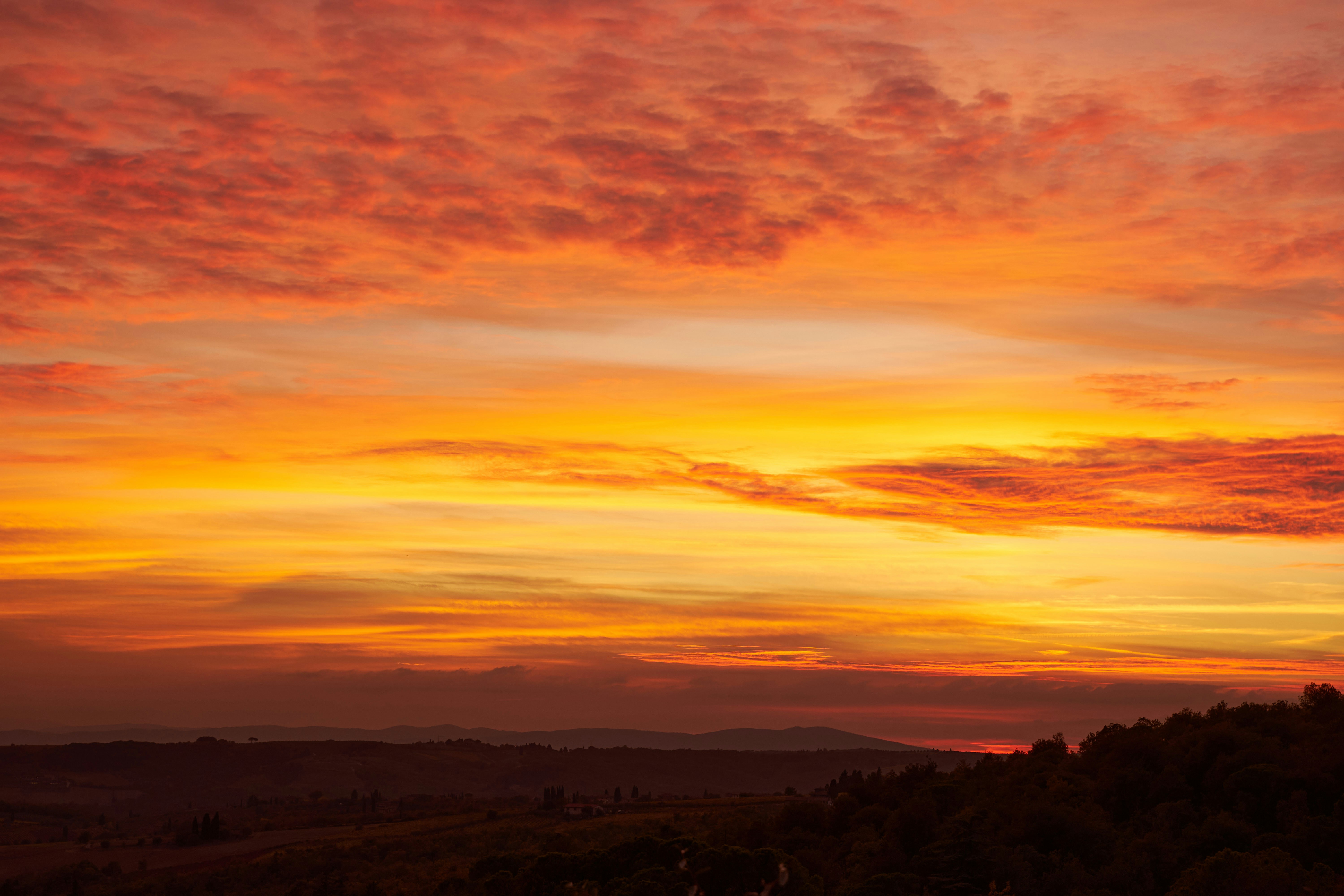 Photo by wolfgang_hasselmann