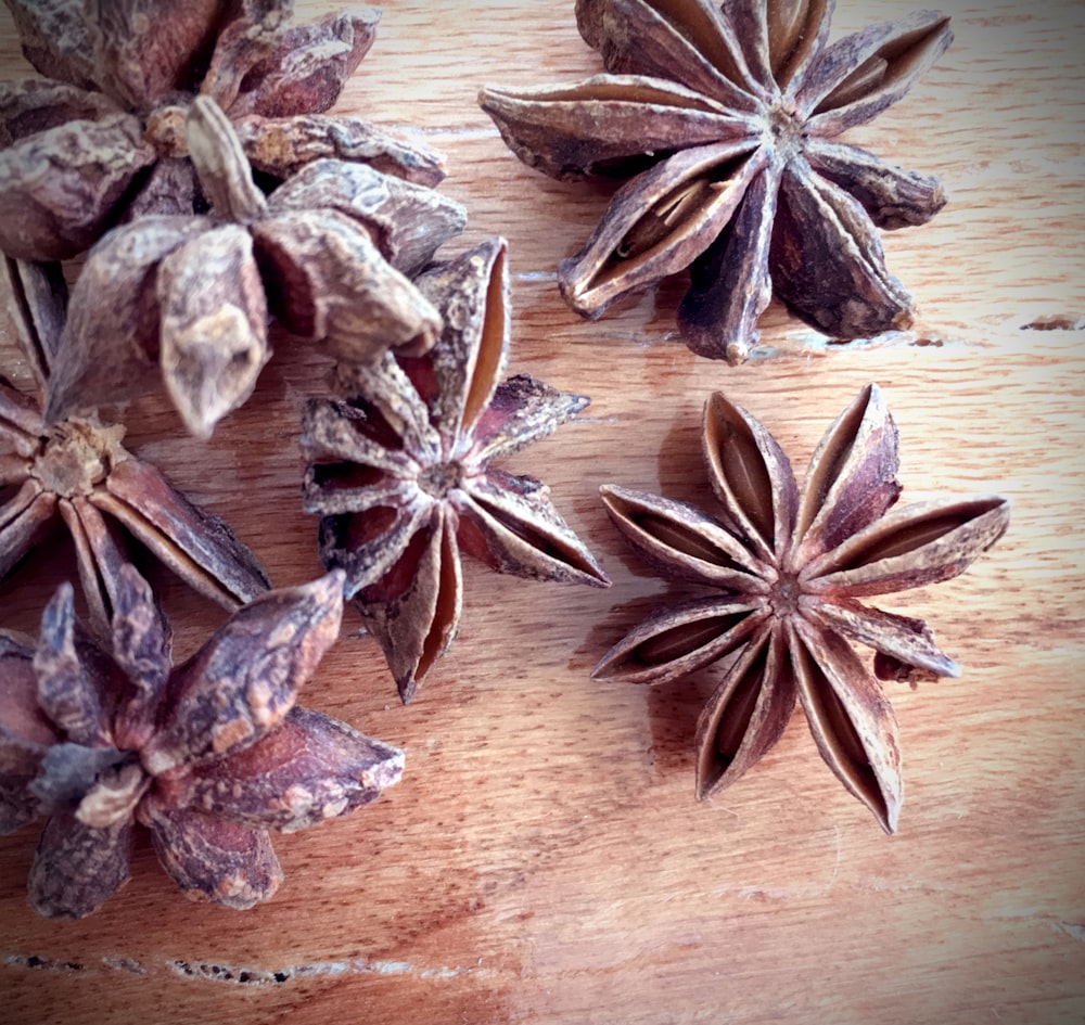 a group of star anise on a wooden table