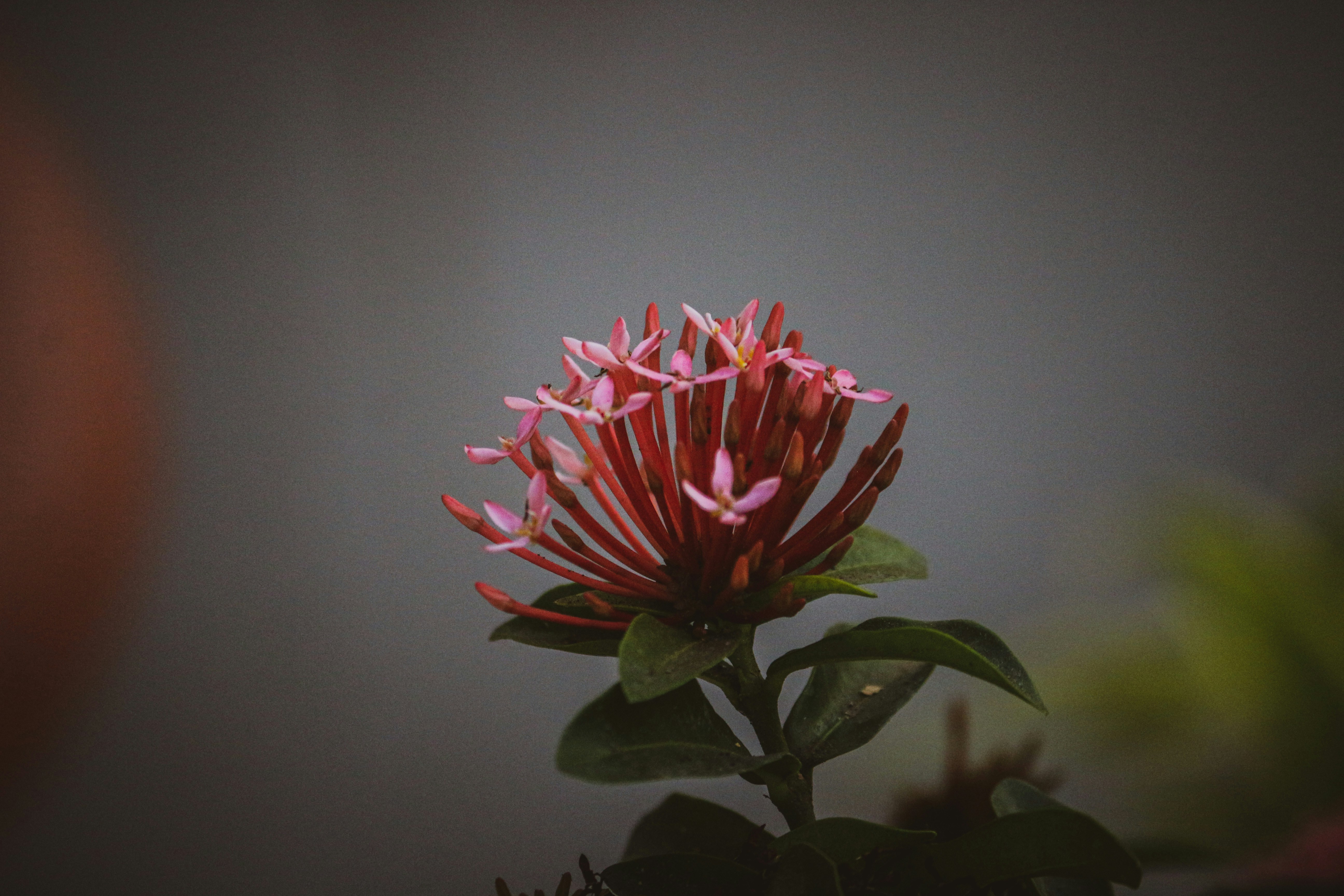 Photo by pixel_guy97