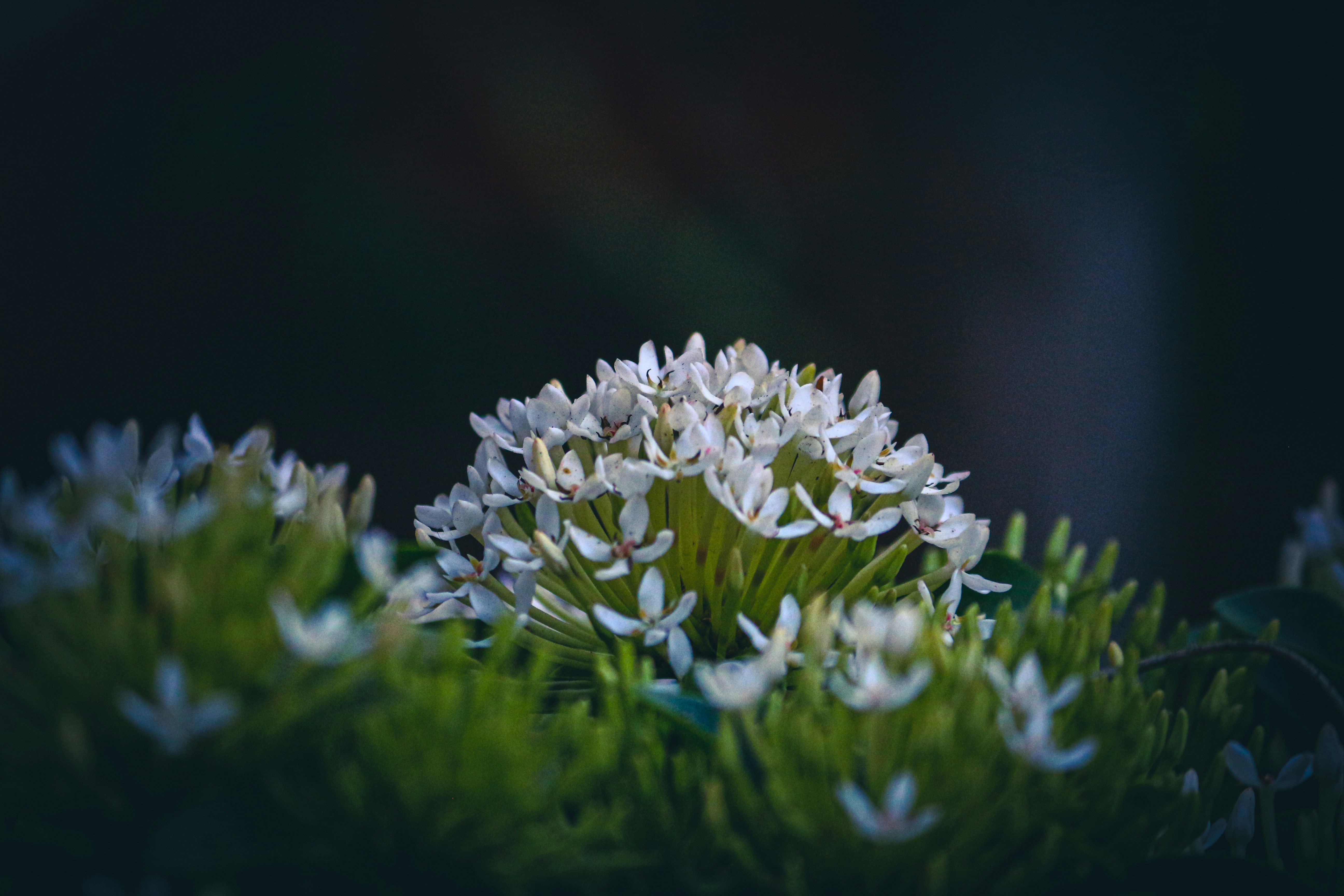 Photo by pixel_guy97