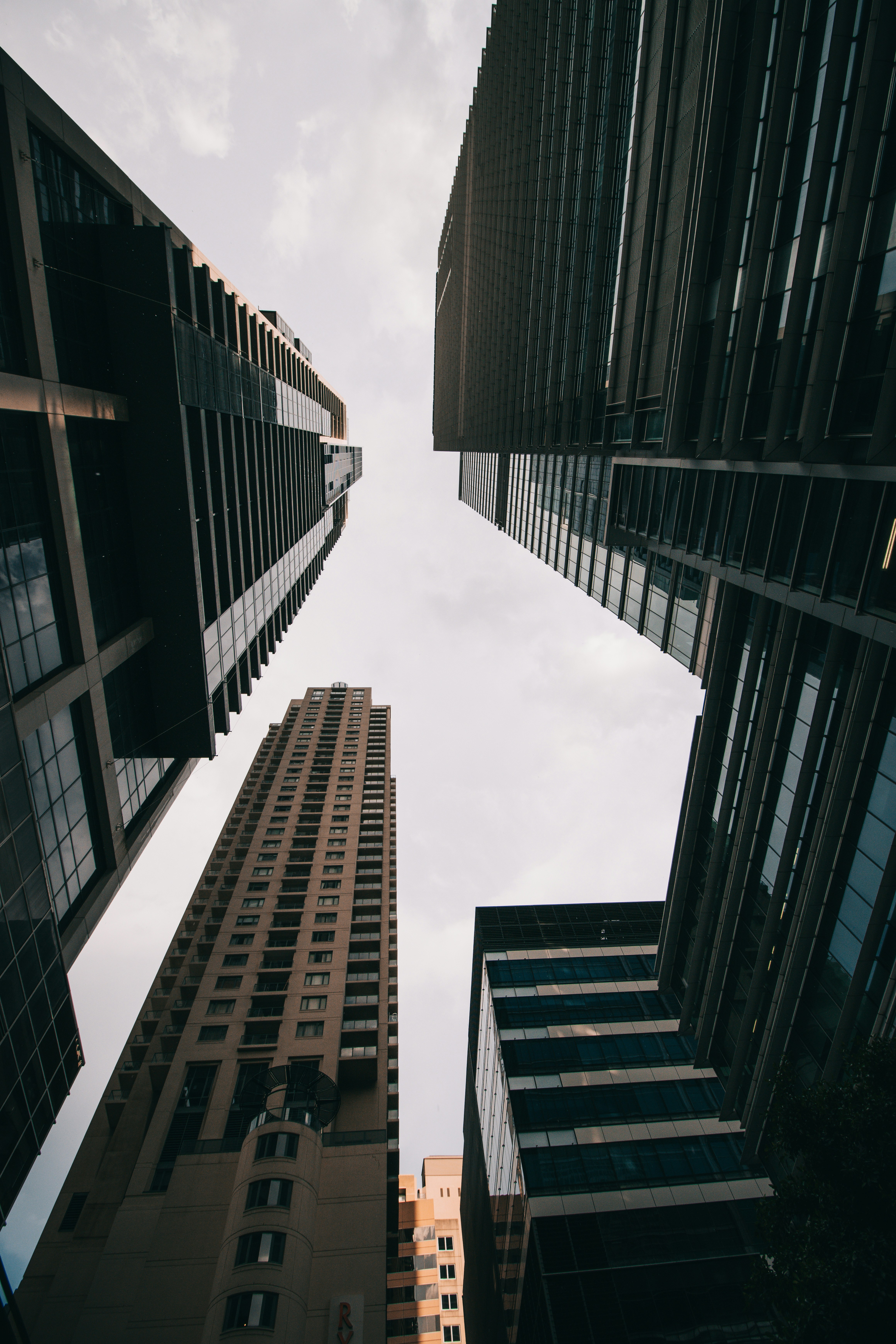 Photo by dynamite_luke