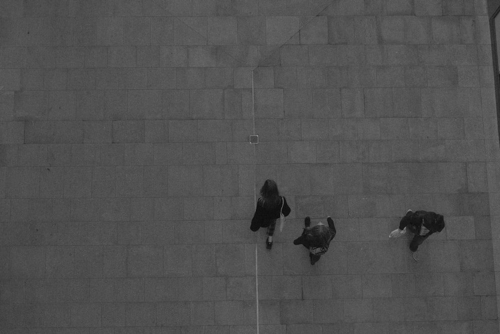 Una foto in bianco e nero di uccelli su un muro