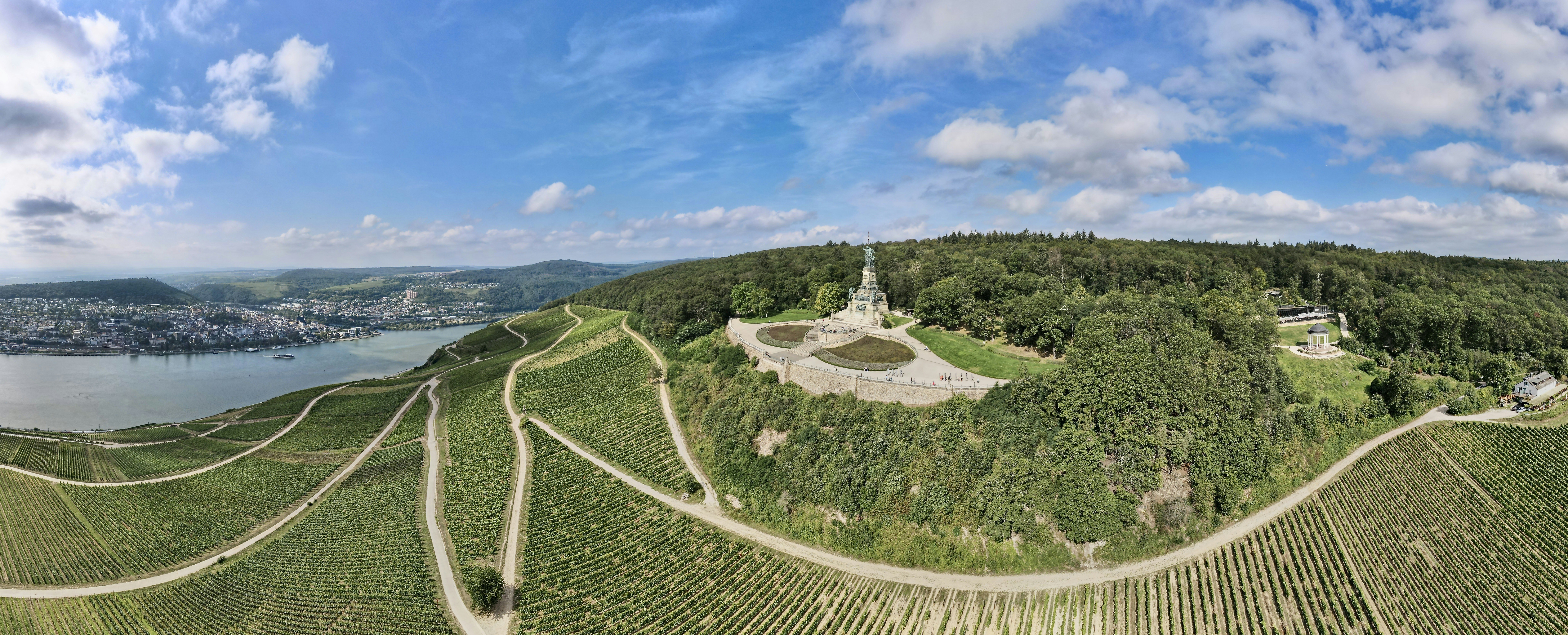 an aerial view of a vineyard with a lake in the background