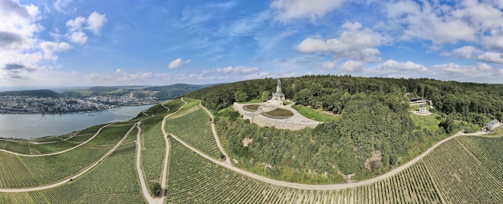 an aerial view of a vineyard with a lake in the background