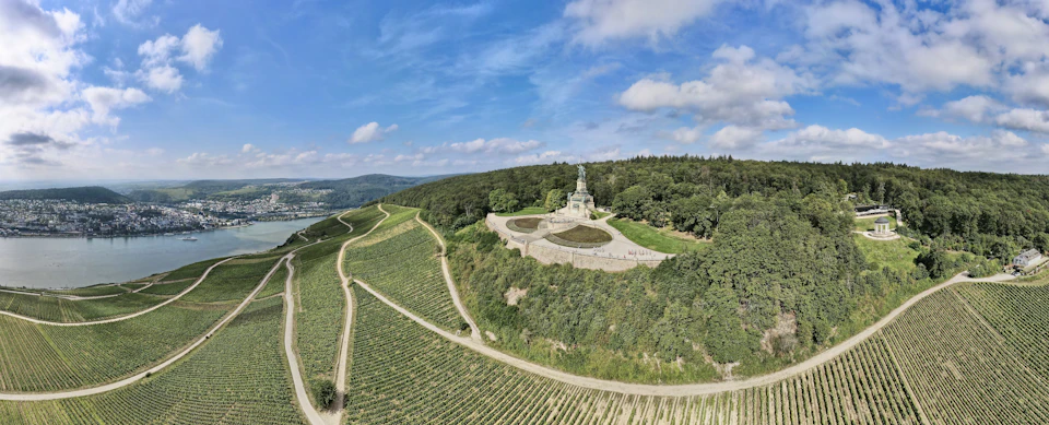 Grapevines across rolling countryside