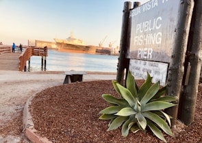 A public fishing pier is seen with a large ship docked in the background. The foreground features a sign for Aqua Vista and a lush green succulent plant. People can be observed enjoying the scenery or fishing on the pier.
