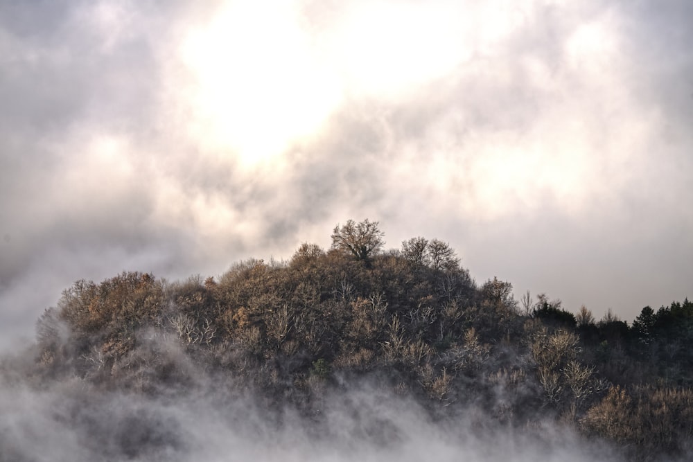 a mountain covered in fog and clouds under a cloudy sky