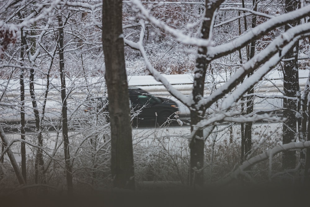 a car is driving through a snowy forest