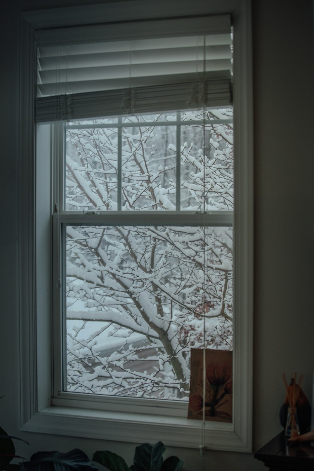 a window with a snowy tree outside of it