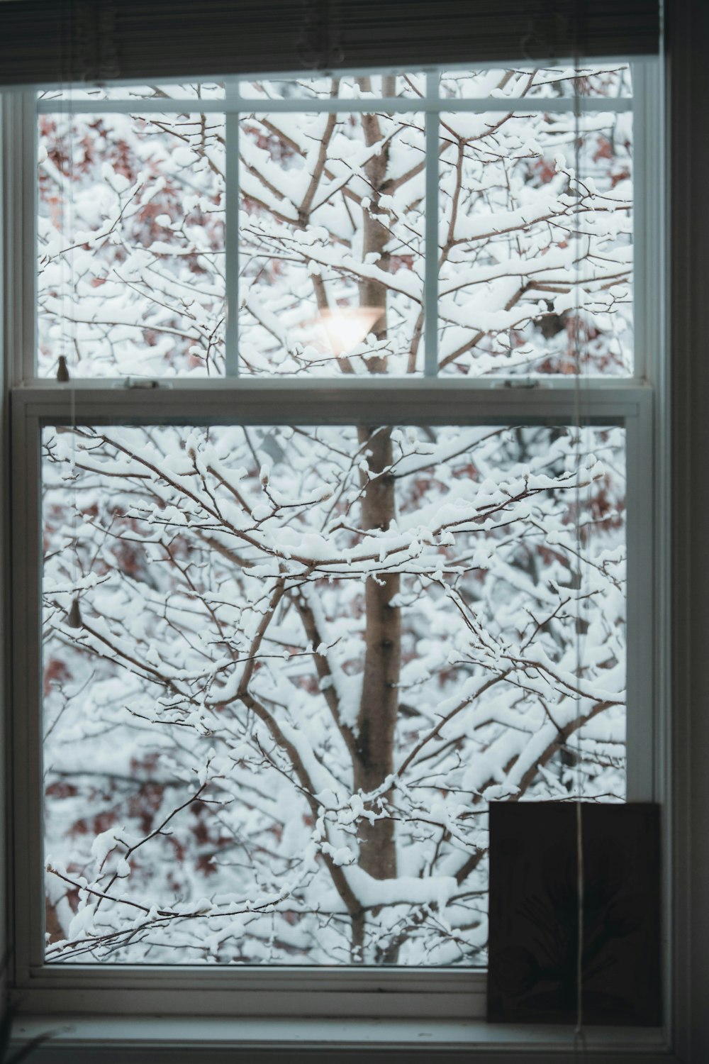 a view of a snowy tree outside of a window