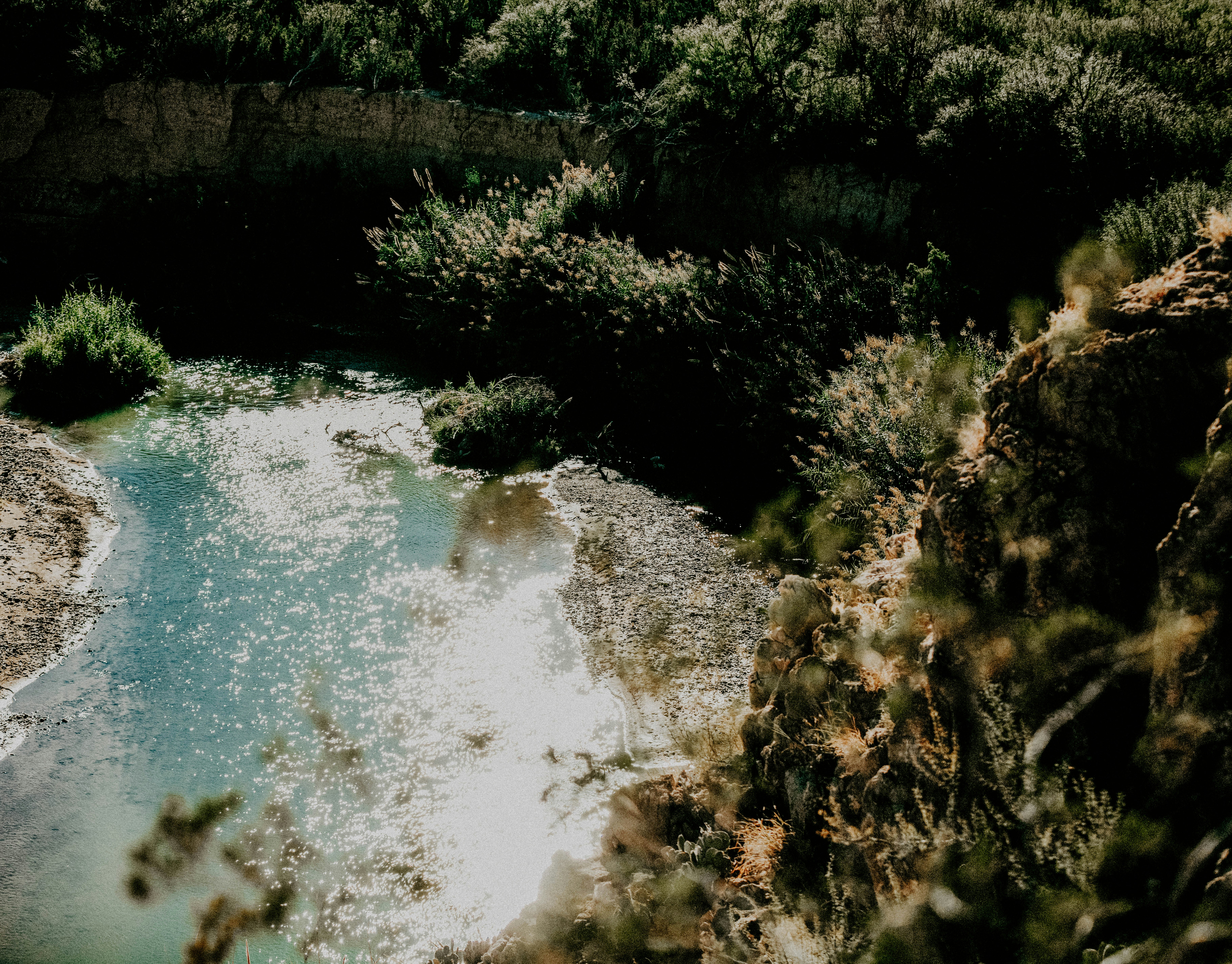 a river running through a lush green forest